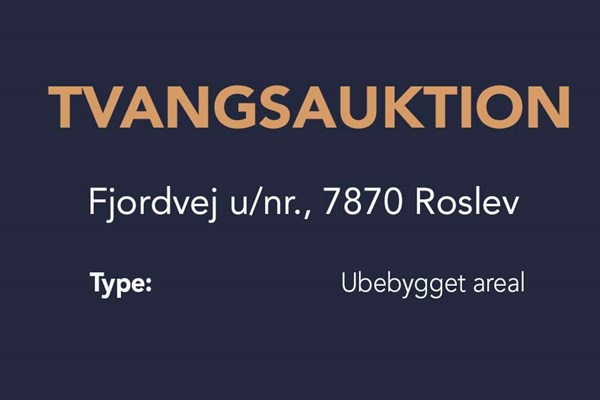 Ubebygget areal | Fjordvej 7870 Roslev