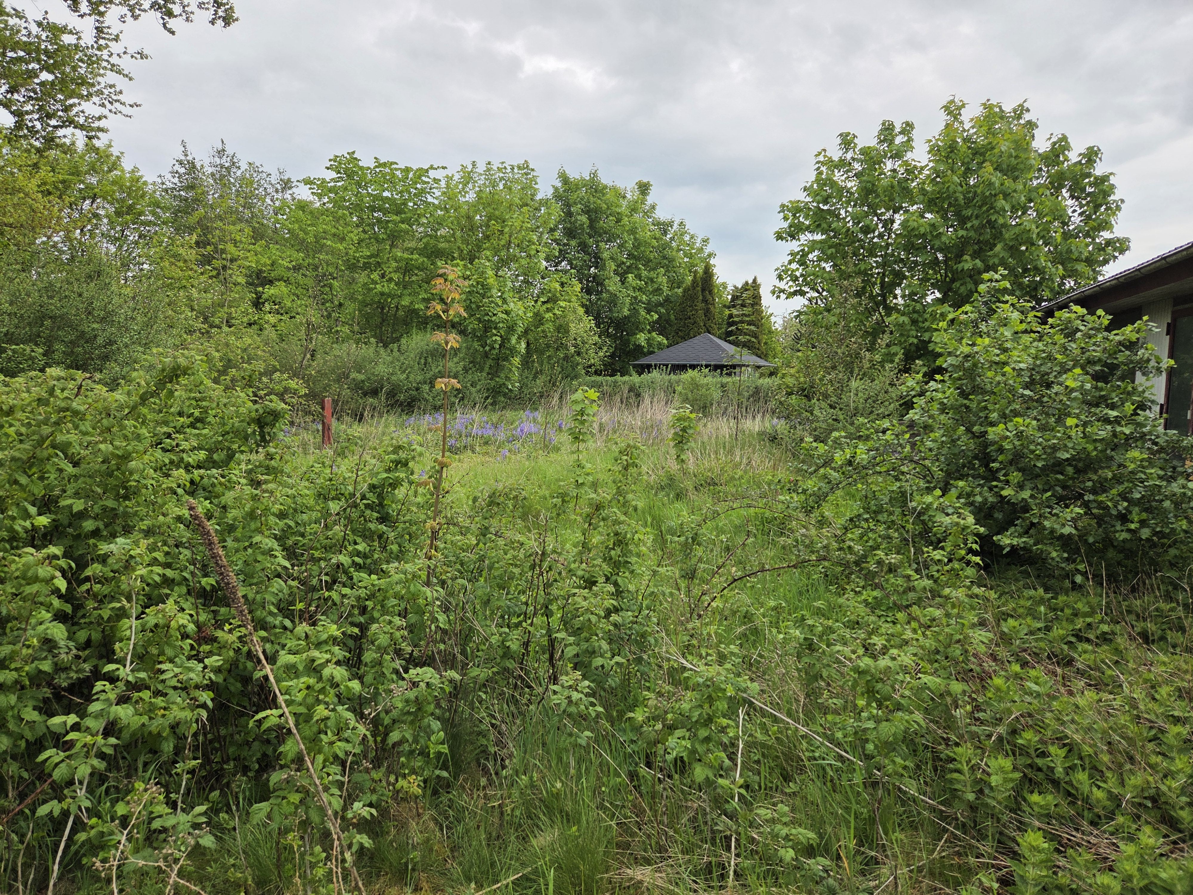 V. Lybyvej 16, Lyby, 7800 Skive